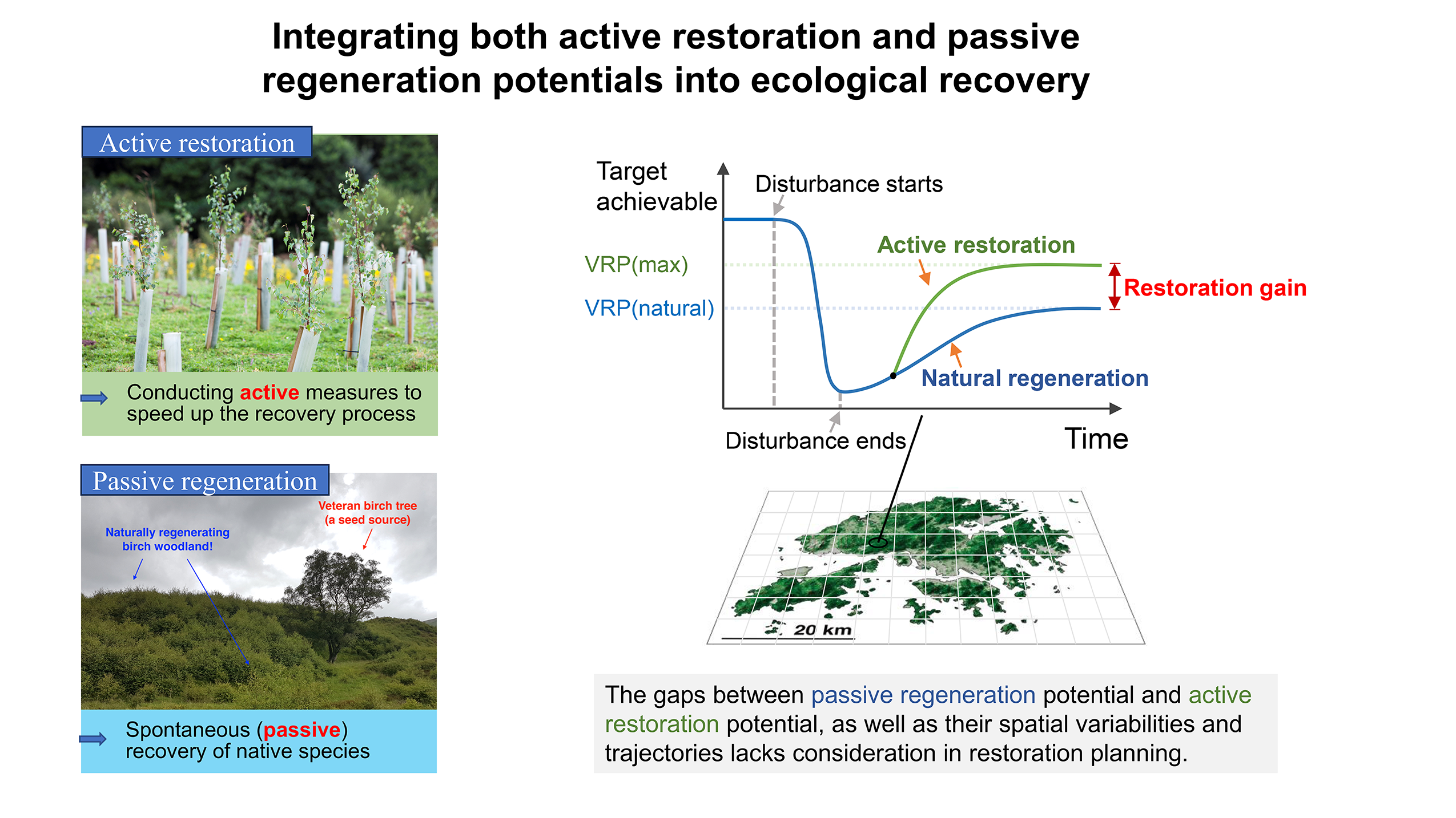 Restoration Potential Research
